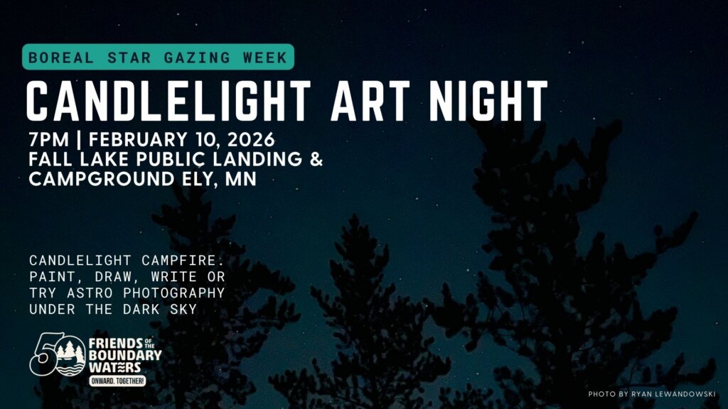 Photo: Ryan Lewandowski A photo of silhouetted trees and stars, with words "Candlelight Art Night"