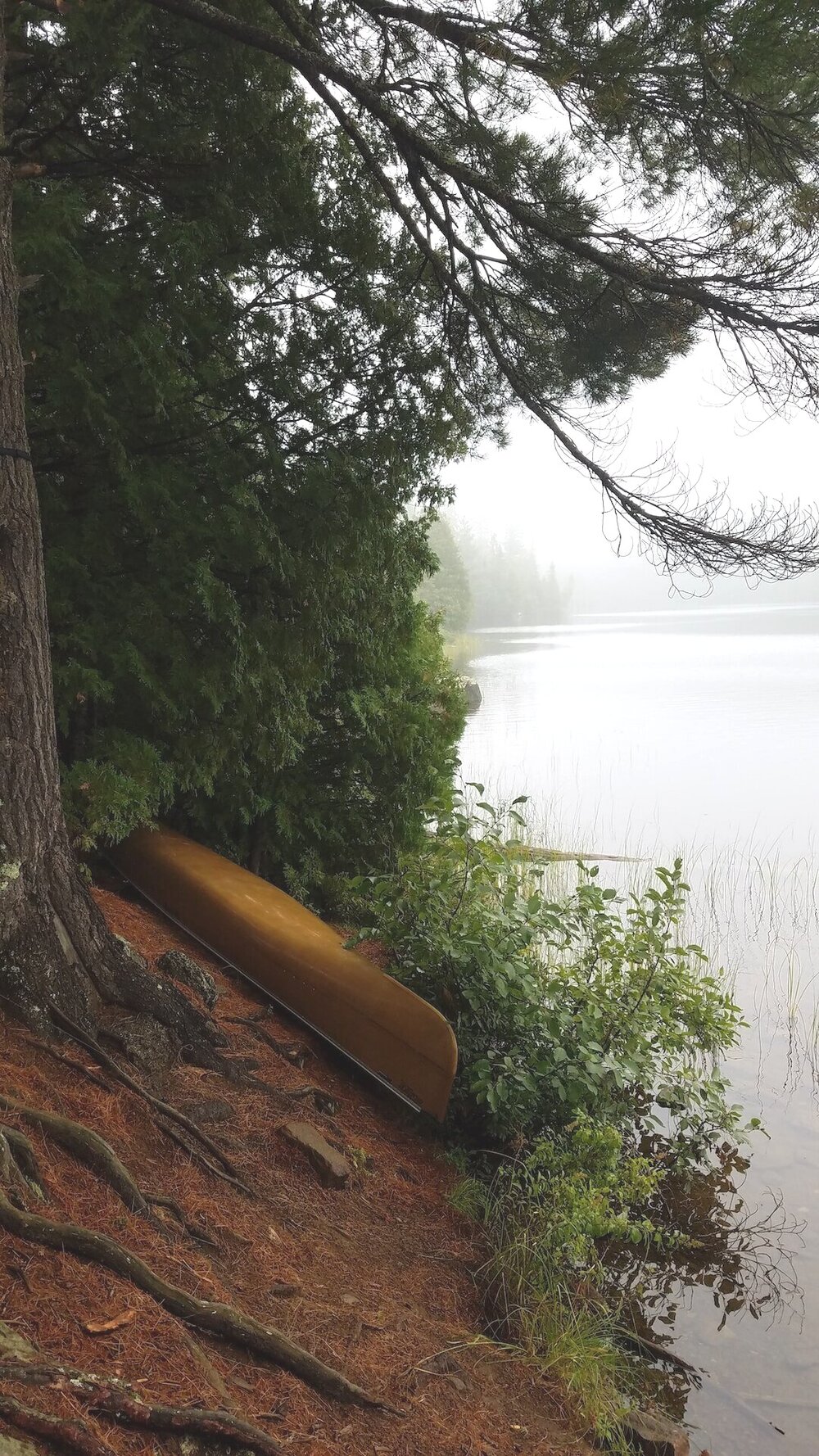 Photo: Alex Eicher Canoe by the water in the BWCA