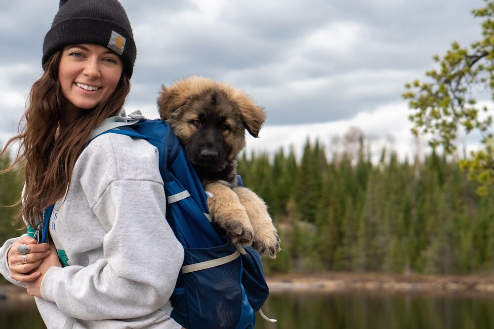 Photo: Ashley Bredemas Ashley Bredemus and her dog in a backpack