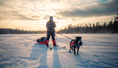 Emily Ford skiing in BWCA with dog Diggins