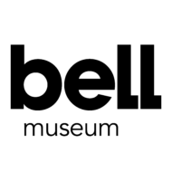 Bell Black Stacked Logo