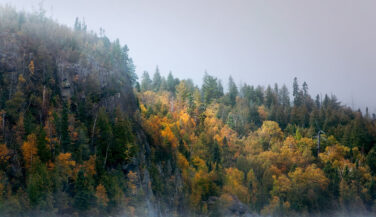 Boundary Waters fall colors on shorline