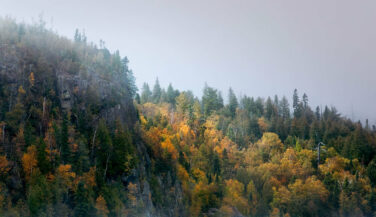 Photo: Benjamin Olson Boundary Waters fall colors on shorline