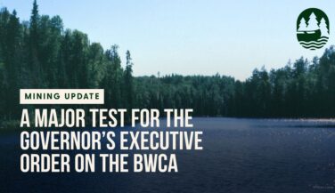 BWCA Lake with trees surrounding it 
