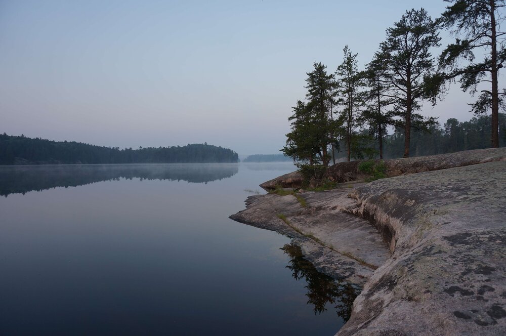 Trees and shoreline in the Boundary Waters