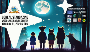 Graphic of kids in the woods staring up at the moon and stars.