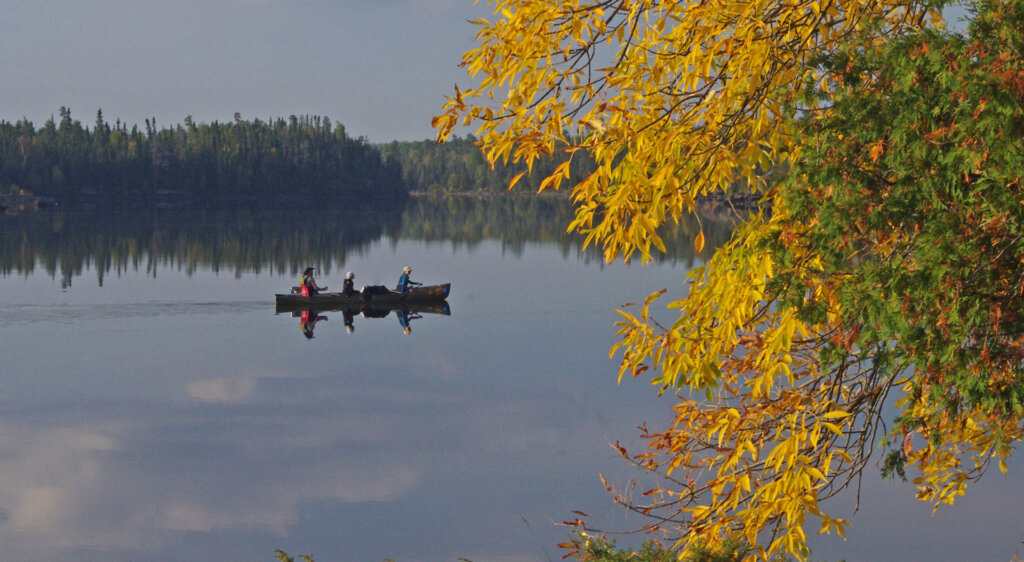 Photo: Brent Reimnitz Three people in a canoe paddle in a lake, with fall colored tree in the foreground.