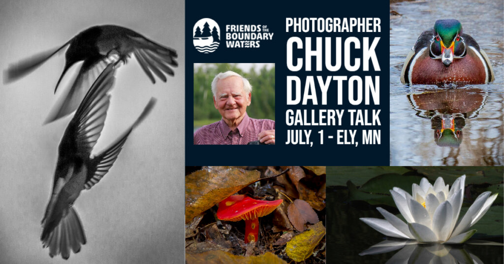 Artistic photos of birds, wood duck, mushroom and water lily. Text says Photographer Chuck Dayton Gallery Talk July 1, Ely, MN