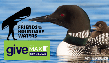 Give to the Max logo graphic, featuring a loon with a baby on its back.