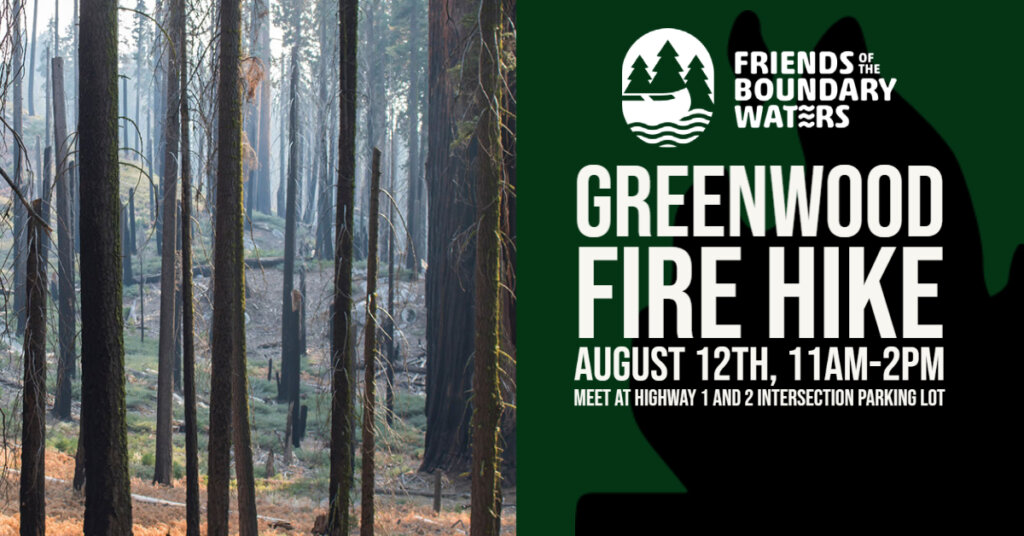Burned looking forest - Greenwood Fire Hike graphic