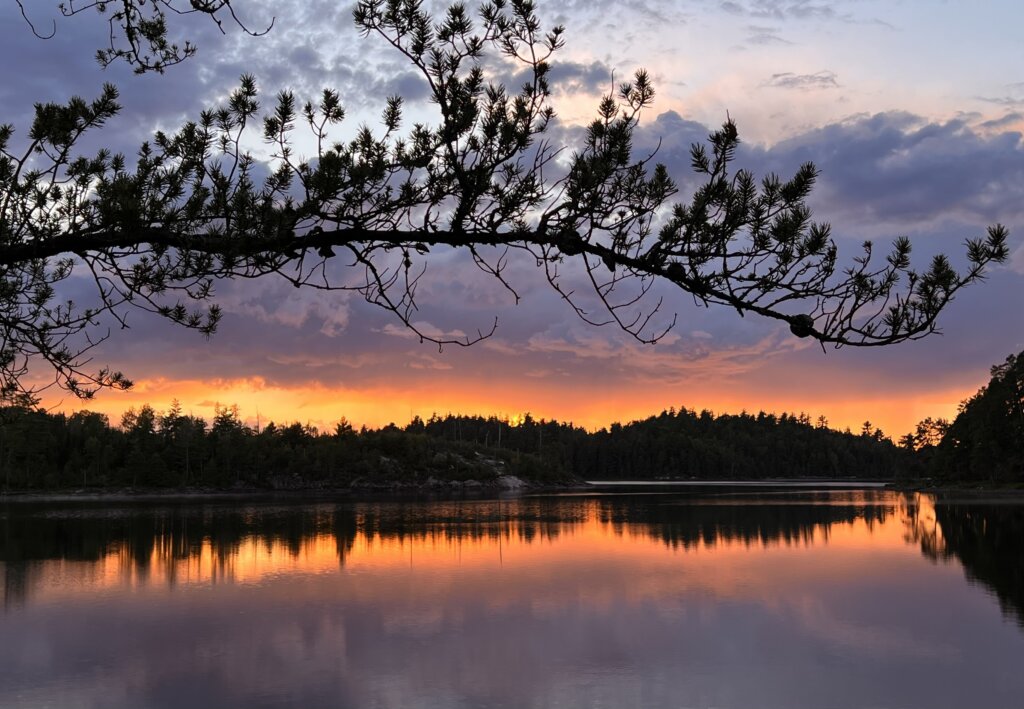 A pine branch extends over a lake in front of a distant sunset over hills in the Boundary Waters.