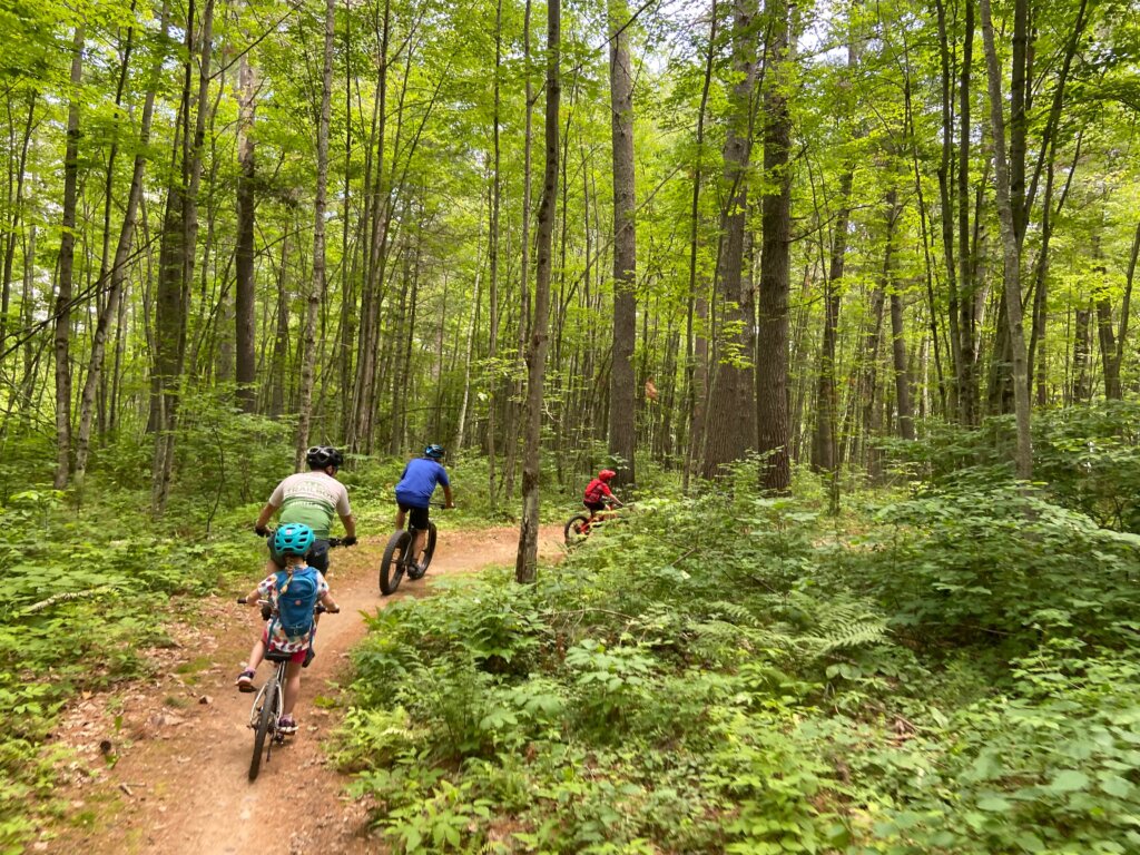 A group of four cyclists pedaling through the woods near Ely.