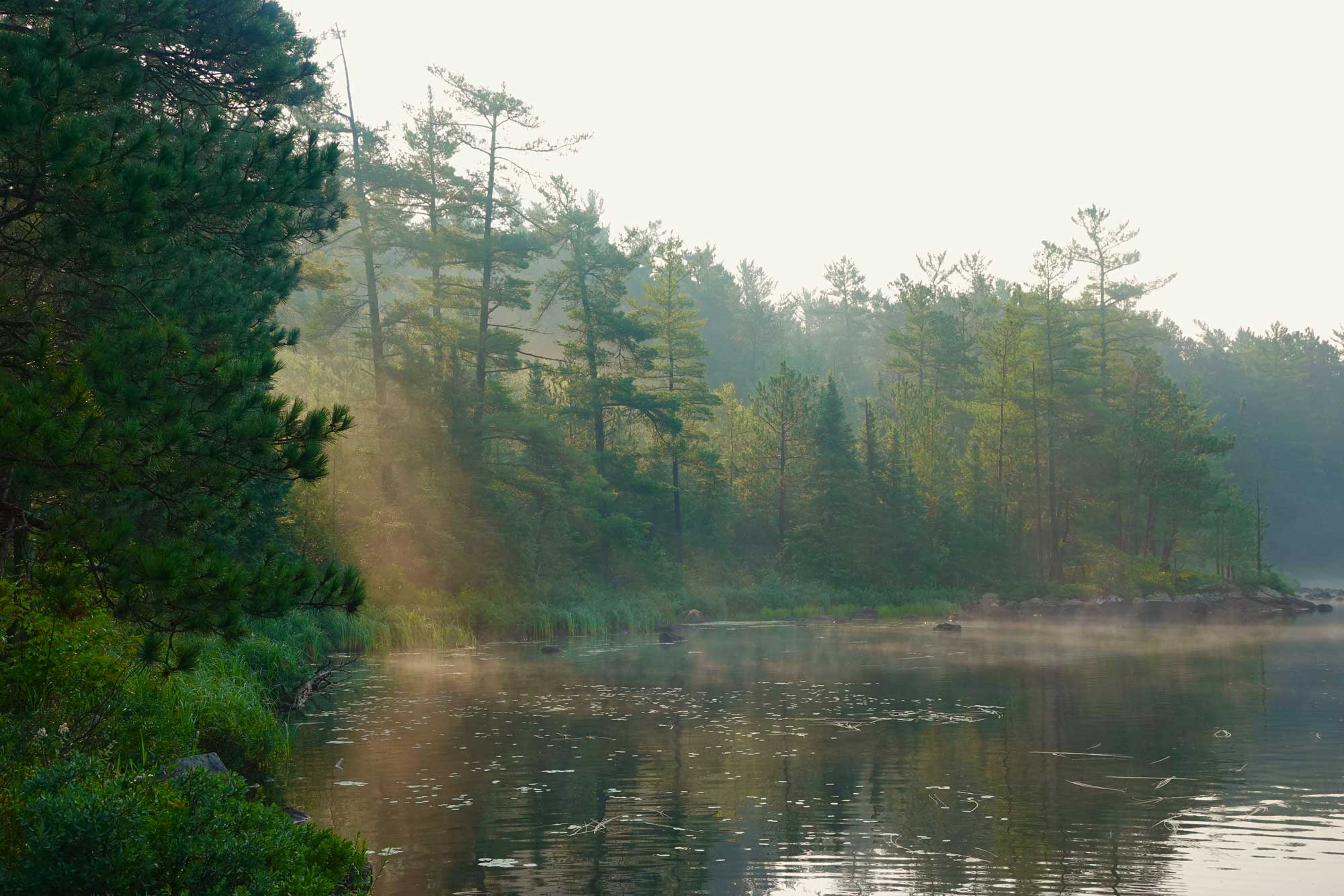 A photo of a calm morning on Cummings Lake with mist and sunlight filtering through the trees.