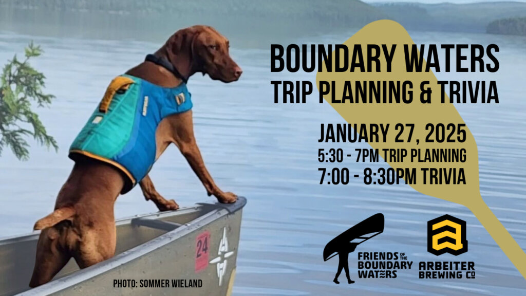 An rusty red dog eagerly perched in the bow of a canoe. Graphic for Boundary Waters Trip Planning and Trivia Jan 2025