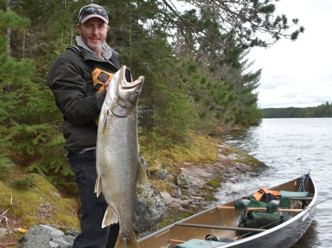 Man holding a giant Lake Trout next to a canoe in the Boundary Waters