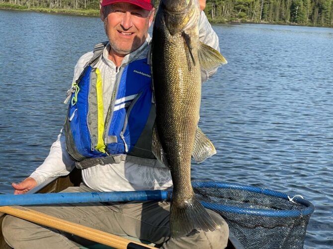 A man in a canoe holding up a giant walleye in the Boundary Waters