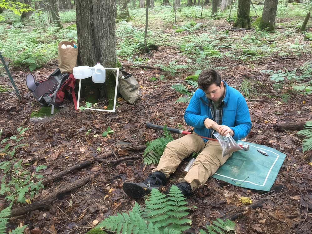 Dr. Sam Reed sits with legs stretched out on a leafy forest floor collecting samples for study.