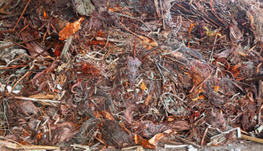 Recycled copper