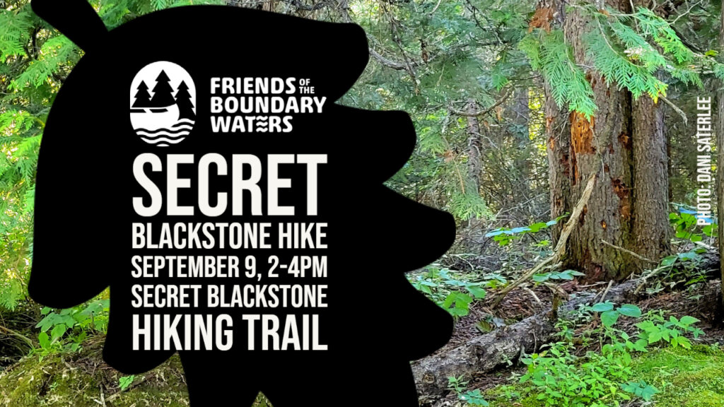 Secret Blackstone Hike graphic, with a background of trees and undergrowth. September 9 2-4pm