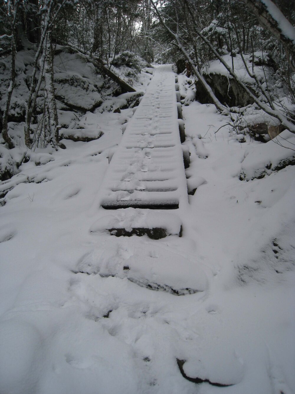 Stairway copy.JPG