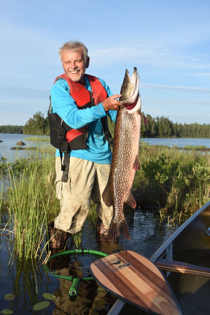 NORTHERN PIKE ON WALLEYE JIG/RIPPLE SHAD MINNOW- 42” BASSWOOD LAKE Man holding up a NORTHERN PIKE ON WALLEYE JIG/RIPPLE SHAD MINNOW - 42” BASSWOOD LAKE