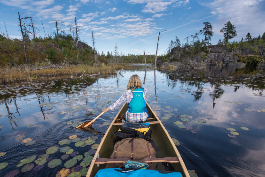 A woman paddling a canoe in the Boundary Waters among lily pads, rocks and burned trees.