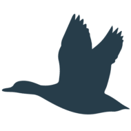 Loon Lake Lodge Logo