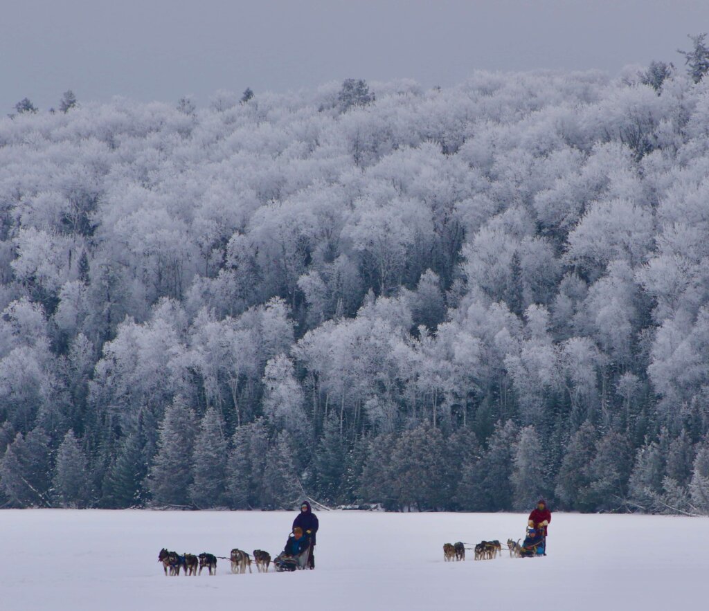 Winter camping with dogs in BWCA Dog sledding and winter camping in northern Minnesota