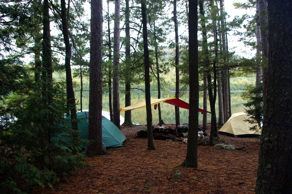 BWCA campsite with tents and tarp in trees