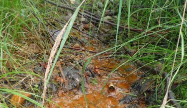 Acid mine drainage