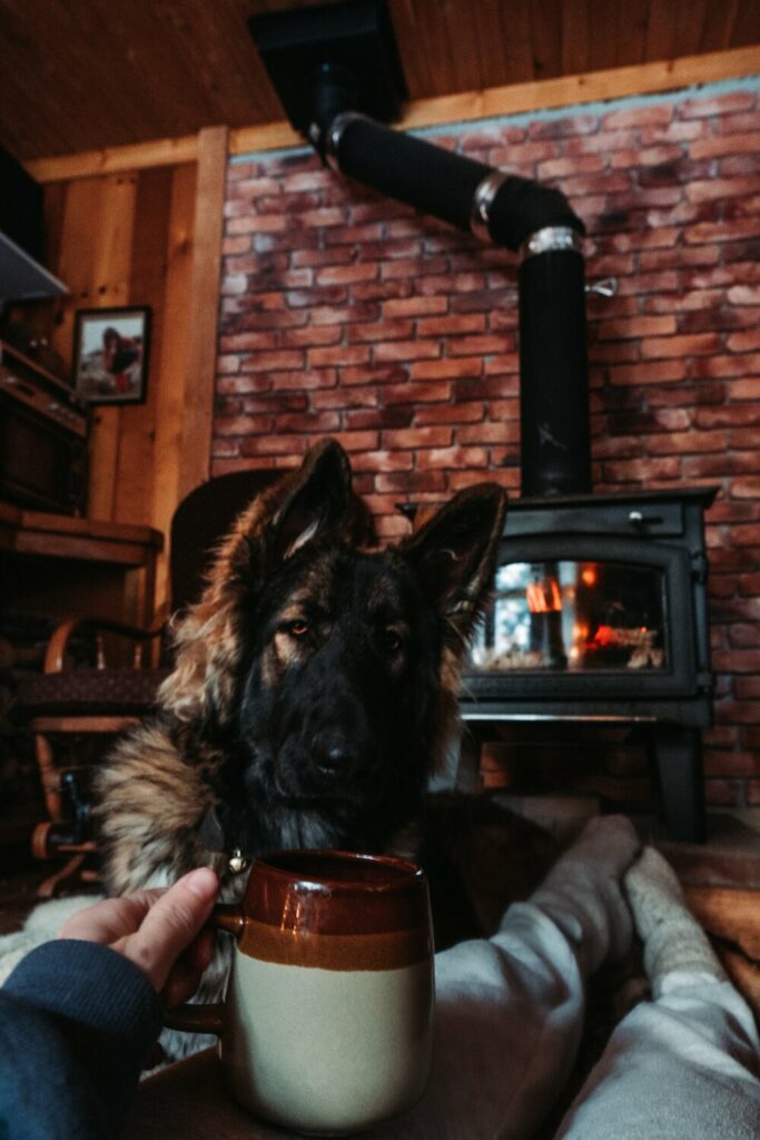 Photo: Ashley Bredemas Dog and a coffee cup by the fire