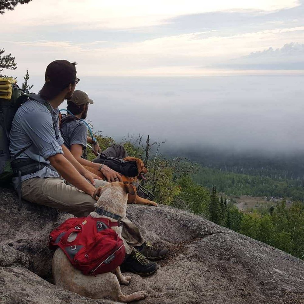 Schraeder and Nord, and their dogs, looking over Lake Superior